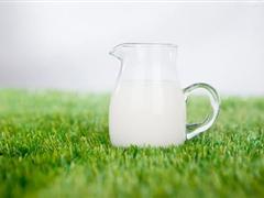 牛奶减肥法 轻松塑造苗条好身段