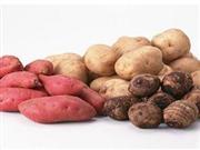 如何吃薯类才有利于减肥？