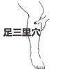 足三里