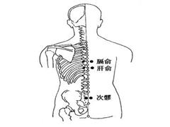肝俞