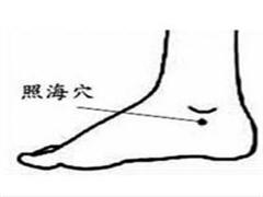 照海