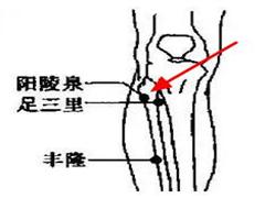 阳陵泉