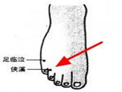 侠溪