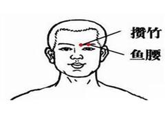 鱼腰