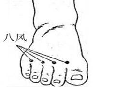 八风