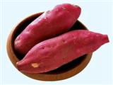 红薯的营养价值与食用功效