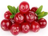 蔓越莓的营养价值与食用功效