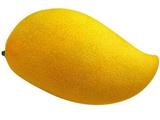 芒果的营养价值与食用功效