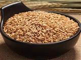 燕麦的营养价值和食用价值
