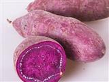 紫薯的营养价值与食用功效