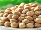鹰嘴豆的营养价值和食用价值