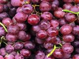 肝不好吃点葡萄 吃葡萄可以不吐葡萄皮