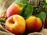 早上吃苹果最有益吗 