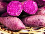 紫薯的营养价值和食用禁忌有哪些