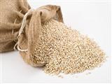 大麦的功效与作用、营养价值介绍