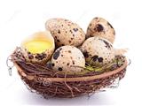 鹌鹑蛋的功效作用与营养价值及食用方法 
