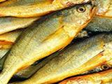 黄鱼的功效与作用及食用方法
