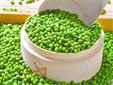  吃绿豆能有效抗肿瘤