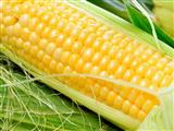 吃玉米能够有效减肥