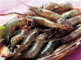 吃河虾能预防动脉硬化