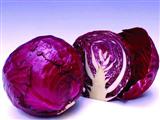 吃紫甘蓝能防衰老抗氧化