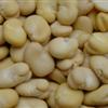 蚕豆（煮）