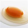 鸡蛋白(乌骨鸡)