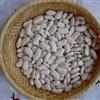 扁豆(白)