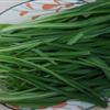野韭菜