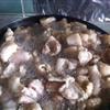 猪油(炼制)
