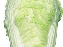 大白菜（白口）
