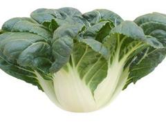 乌塌菜