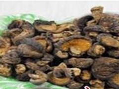 黄伞菇（干）