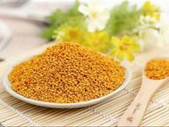 陈家蜂蜜茶花粉