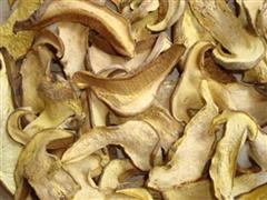 白牛肝菌（干）