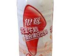 银鹭花生牛奶蛋白饮料
