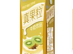 蒙牛奇异果真果粒