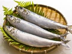 沙丁鱼（盐水浸）