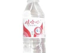 纯净水（哇哈哈牌）