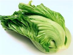 盖菜