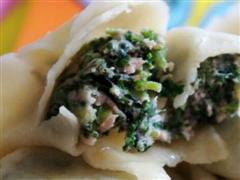 饺子（鲜胡萝卜缨馅）