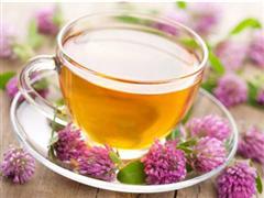 茵陈减肥茶