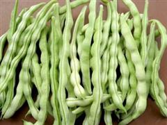 豆角(白)