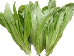 生菜(牛俐)