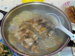 萝卜鲤鱼汤