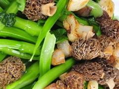 猴头蘑炒菜心
