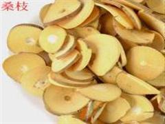 桑枝