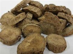 川牛膝