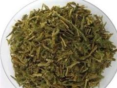 伸筋草