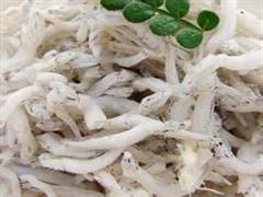吻仔鱼